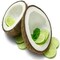 Coconut Lime Verbena Fragrance Oil (Our Version of the Brand Name) (1 oz Bottle) for Candle Making, Soap Making, Tart Making, Room Sprays, Lotions, Car Fresheners, Slime, Bath Bombs, Warmers…